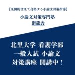 北里大学 看護学部 一般入試 小論文 対策講座【模範解答】【オンライン個別指導】
