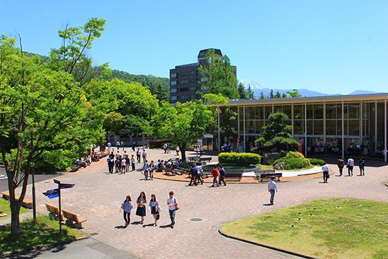 山梨 大学 医学部